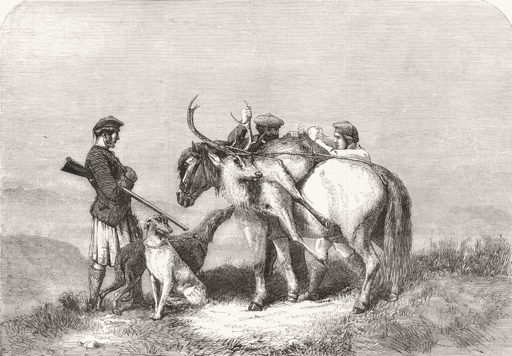 SCOTLAND. Highland sports. Deer-stalking 1857 old antique print picture